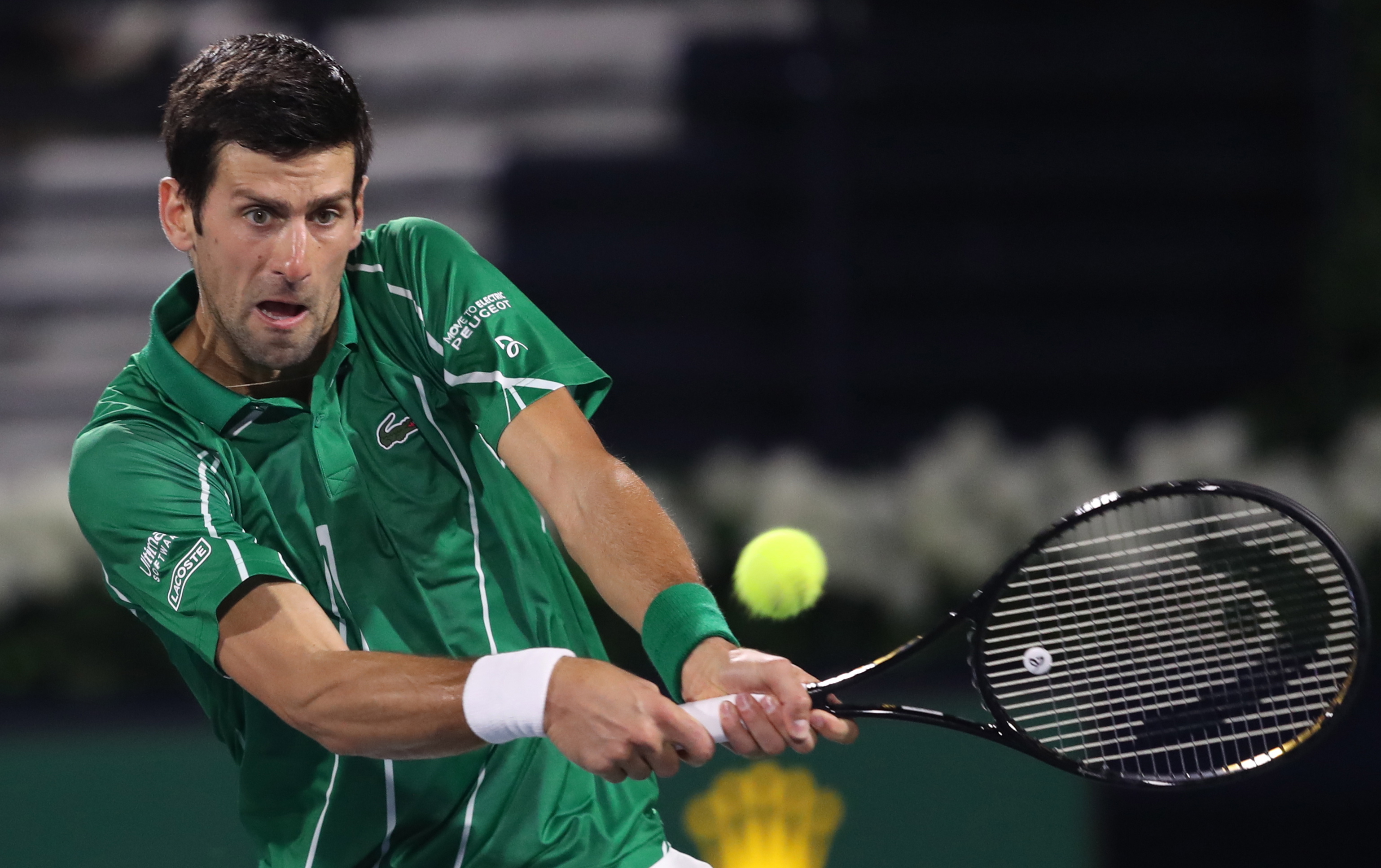 关于她的传 关于她的传