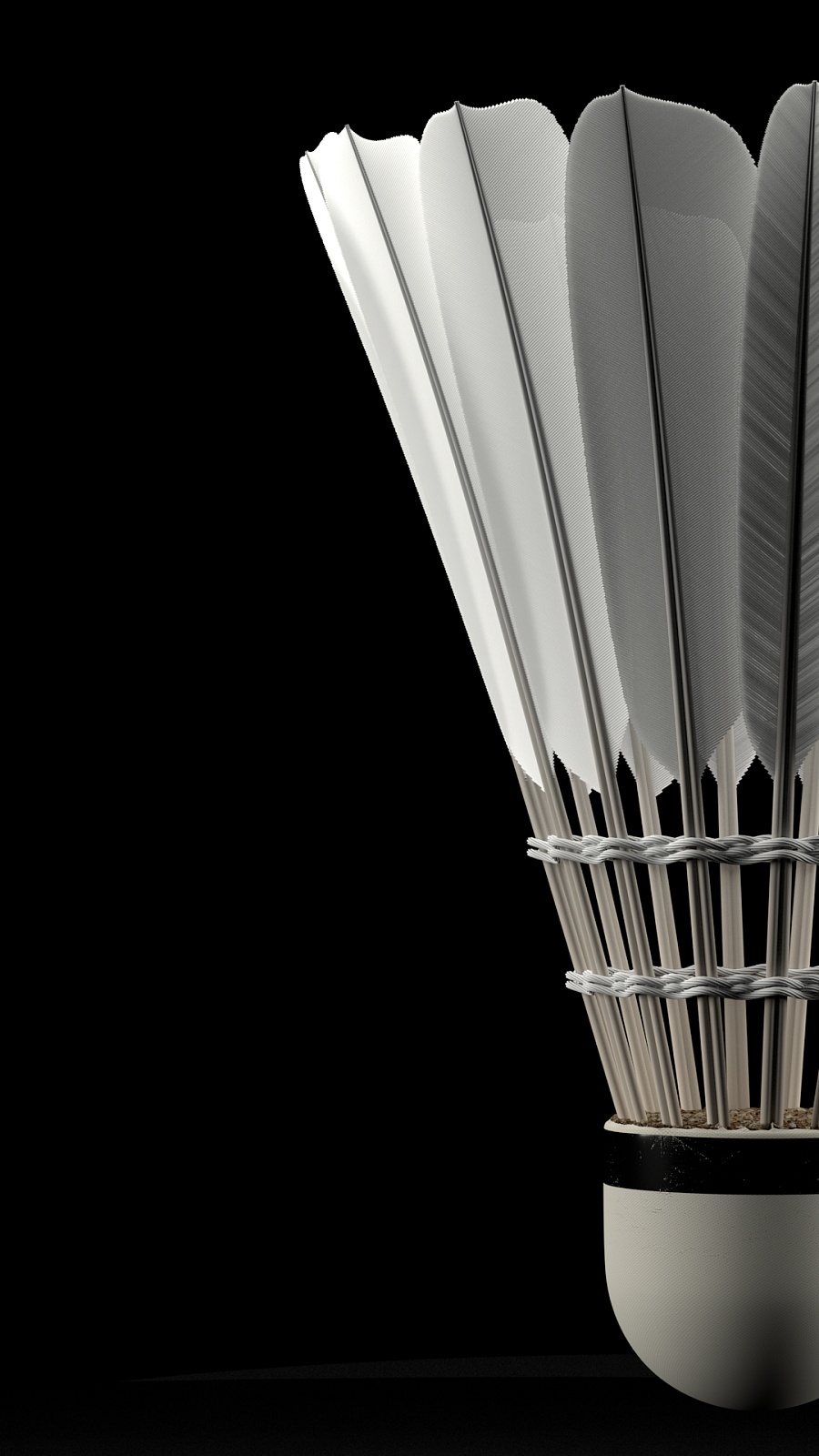 年轻中锋杨 年轻中锋杨