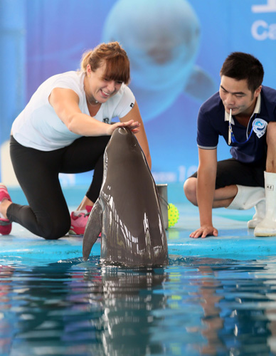 更為強大 更為強大