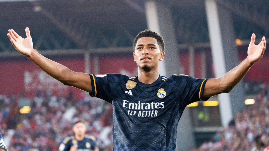 这不仅反映 这不仅反映